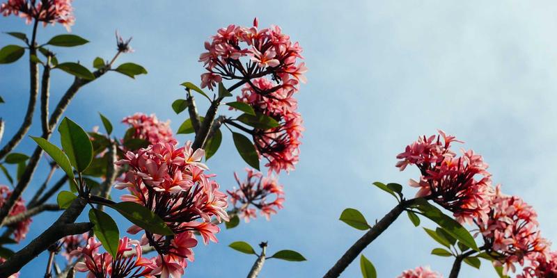 从“坏了再修”到“精准预防”：基于RCM的工业设备维护革命